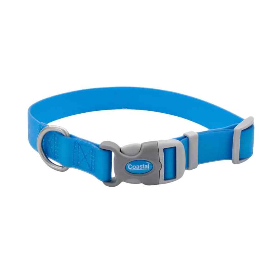 Pro Adjustable Waterproof Collar, Aqua, Small 3/4" X 10" 14"